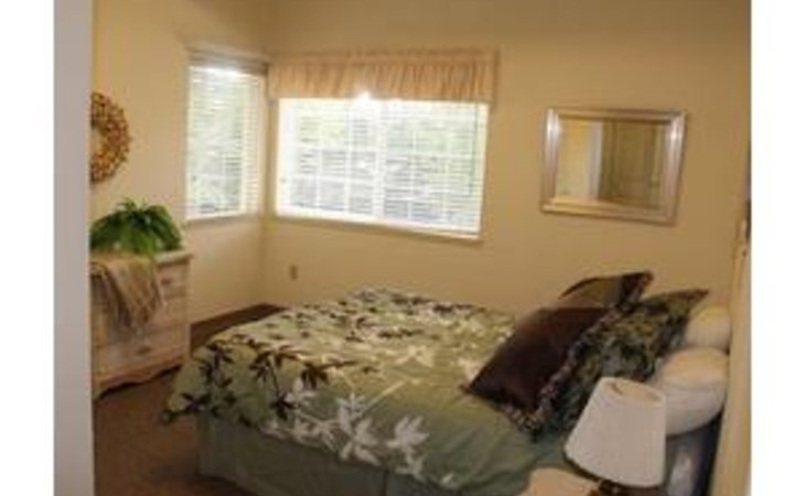 the-bridge-at-mount-vernon-98274-1176197_13