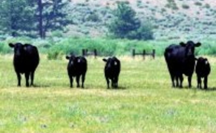 stone-house-ranch-89515-1176452_2