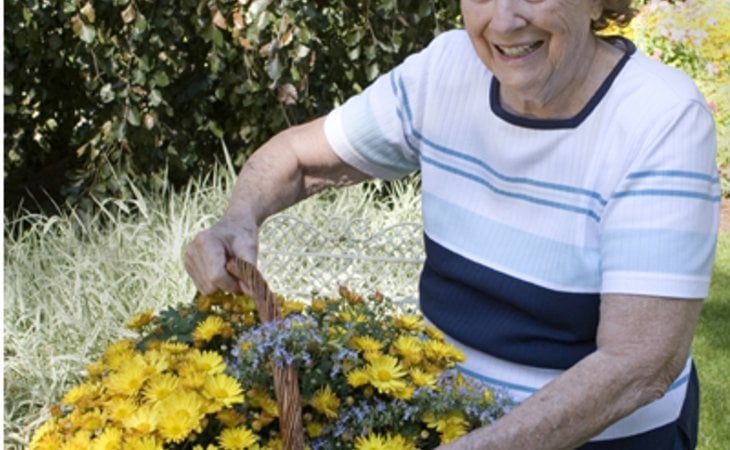 pinnacle-services-55414-1178045_2