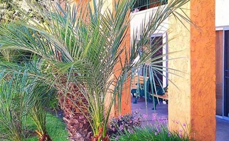 acacia-villas-92831-1202328_7