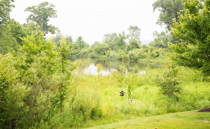 coventry-meadows-46804-1202426_10