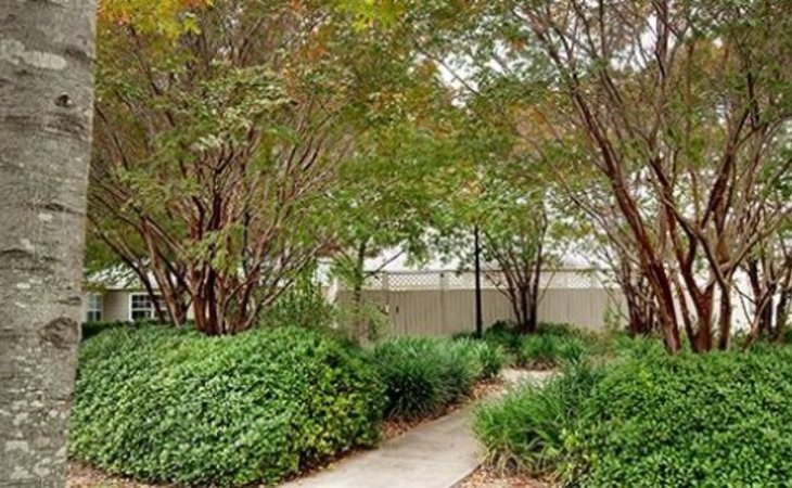 brookdale-hollywood-park-78232-1203777_10