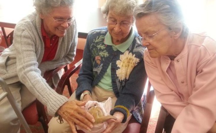 mary-ann-morse-at-heritage-01701-1204751_3