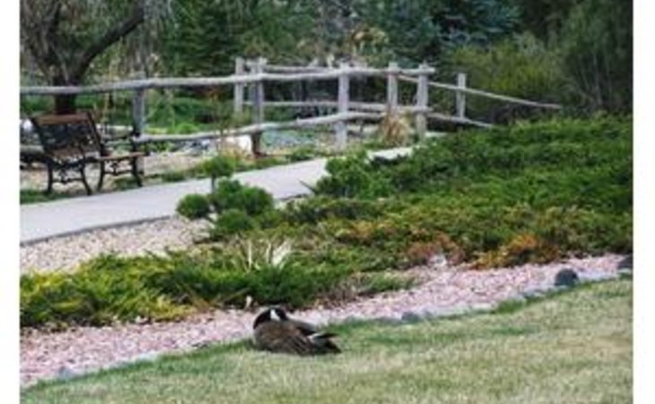 spring-creek-chalet-ltd-81401-1205837_3