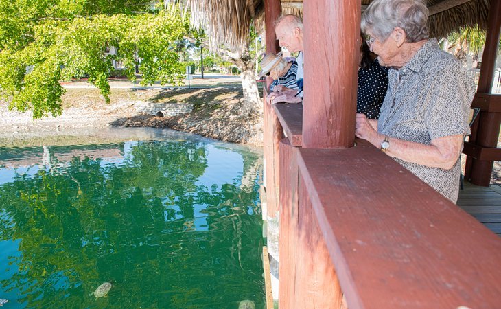 lely-palms-a-promedica-senior-living-community-34113-1206210_14