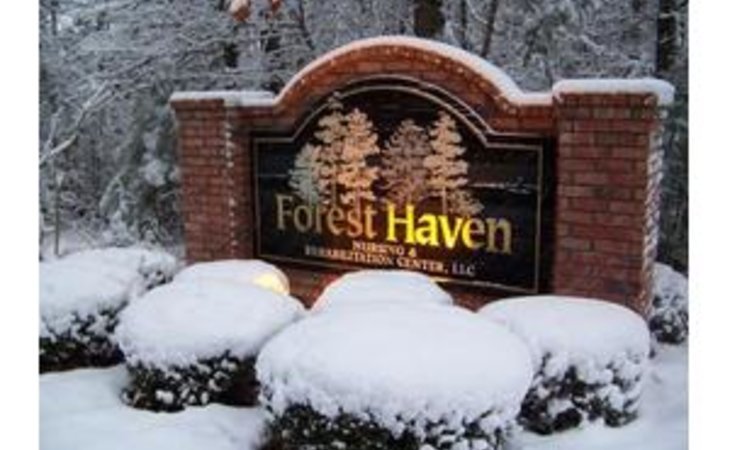 forest-haven-nursing-rehab-ctr-llc-71251-1209026_6