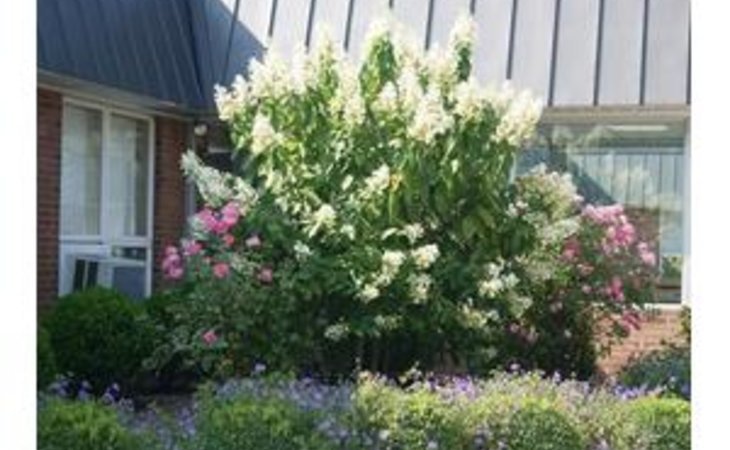 mountain-view-a-nursing-and-rehabilitation-center-17866-1210611_13