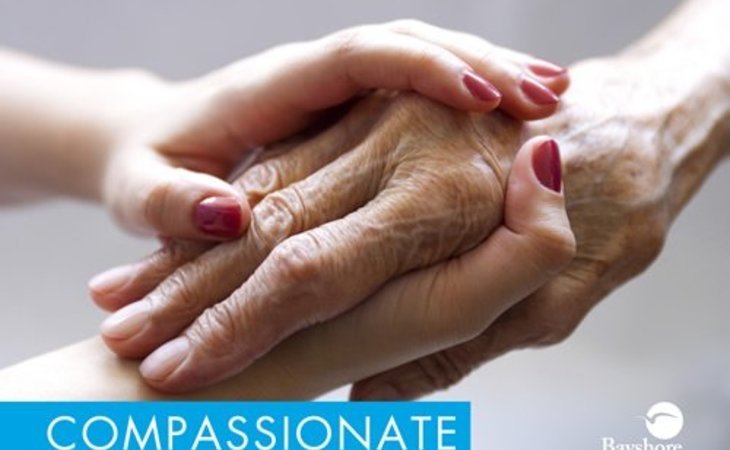 bayshore-home-care-33770-1217428_5