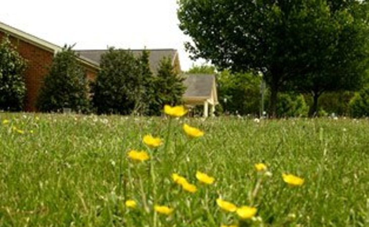 commonwealth-senior-living-at-fredericksburg-22405-1226952_3