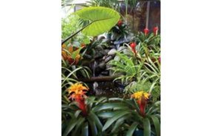 life-care-center-of-hilo-96720-1227662_13