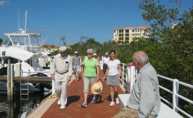 mangrove-bay-33477-1228521_4