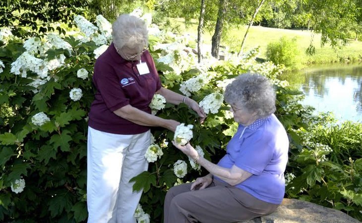 comfort-keepers-of-anderson-29621-1229848_4