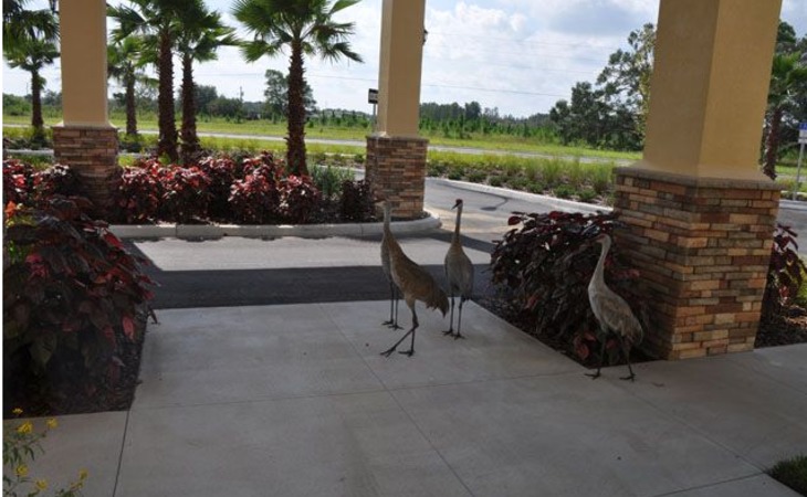 angels-senior-living-at-connerton-court-34638-1230527_7