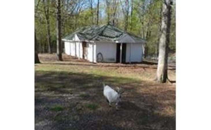 fern-terrace-of-murray-42071-1230910_6