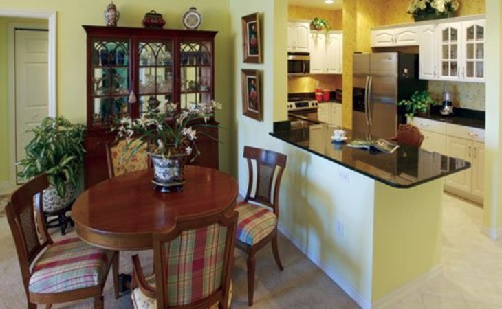 jacaranda-trace-34293-1234195_2