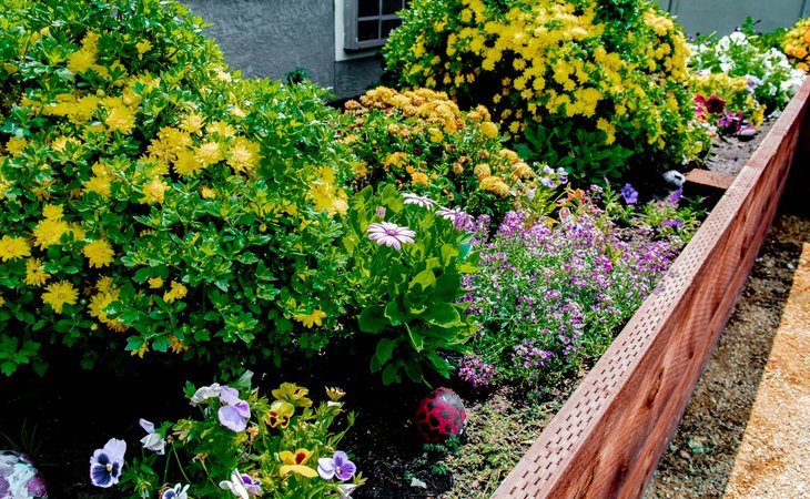 pacifica-senior-living-vacaville-95687-1234719_10