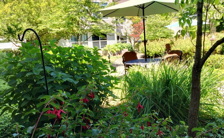 prestige-senior-living-bridgewood-98684-1235220_10
