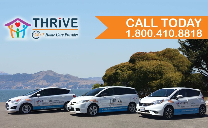 thrive-home-care-94578-1236134_5