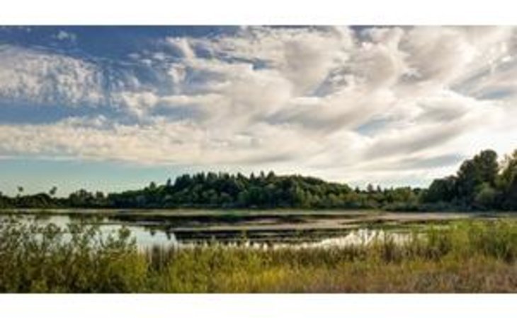 panorama-98503-1236197_13