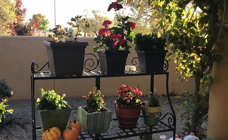 ravenna-assisted-living-87120-1236746_11