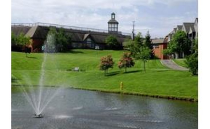 springhill-16509-1238399_8