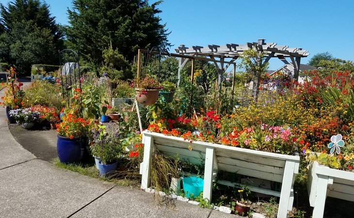 oceanview-senior-living-97365-1238802_6