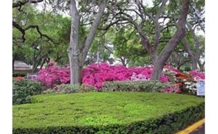 bayshore-presbyterian-apartments-33629-1248638_3
