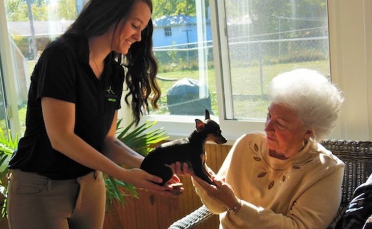 day-to-day-home-care-45459-1265739_2