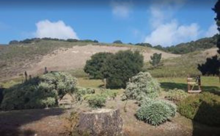 carmel-valley-manor-93923-128_12