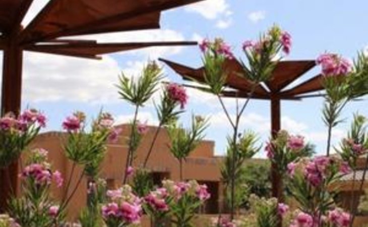 la-posada-at-park-center-85614-1319982_7
