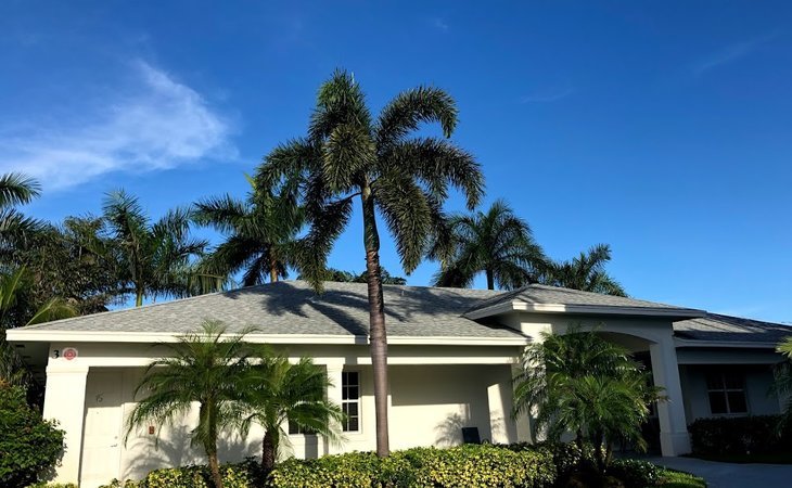banyan-lantana-33462-1363121_6