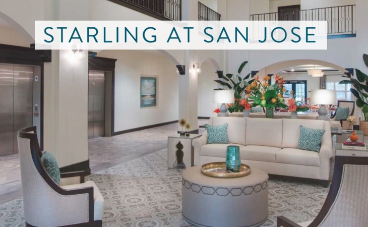 starling-of-san-jose-32257-1363157_2