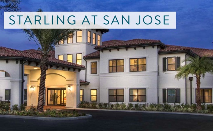 starling-of-san-jose-32257-1363157_3