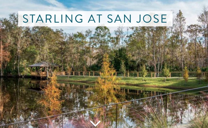 starling-of-san-jose-32257-1363157_4