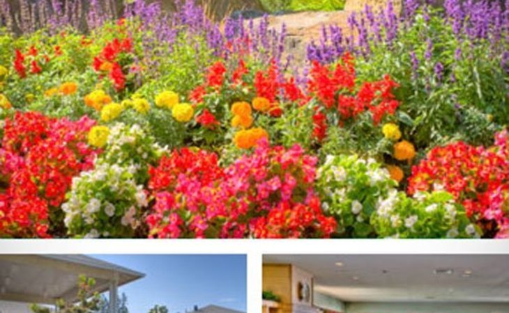 tanner-spring-assisted-living-community-97068-1364035_8