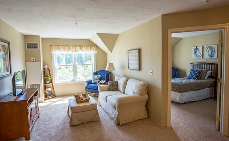 brookdale-spruce-wood-03824-1365131_2