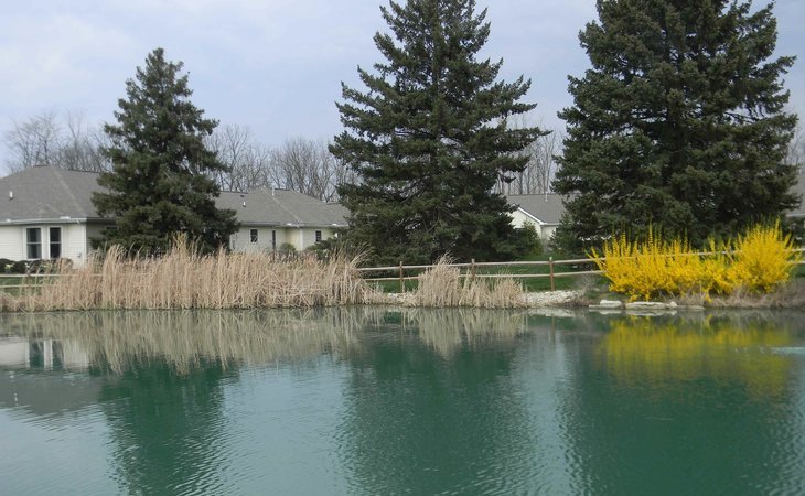 willow-brook-at-delaware-run-43015-1365394_4