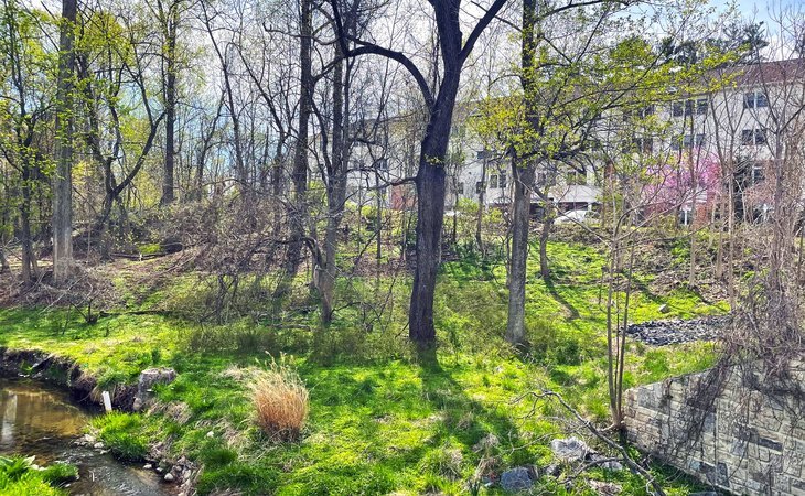 woodholme-gardens-21208-1365864_6