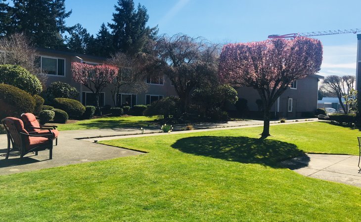 sagebrook-senior-living-at-bellevue-98008-1366066_4