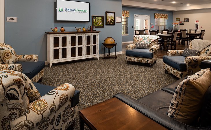 spring-cypress-77429-1366967_2
