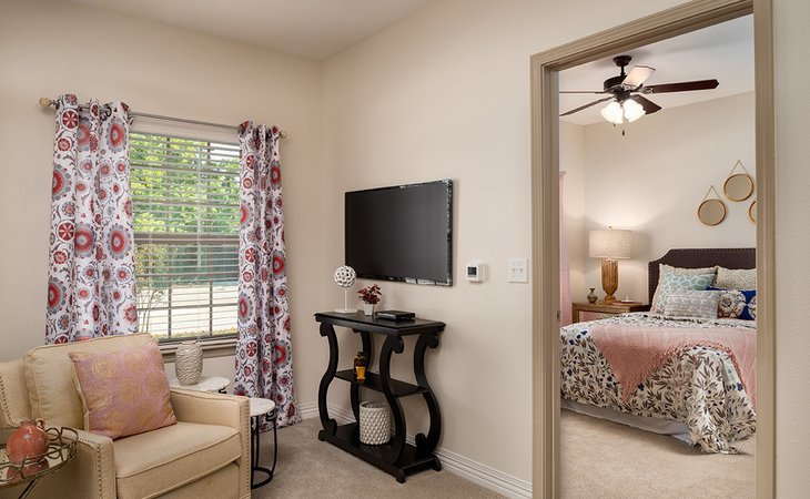 spring-cypress-77429-1366967_6
