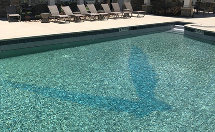 the-viera-senior-living-78414-1367764_5