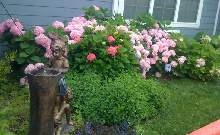 the-rose-house-65616-1367871_5