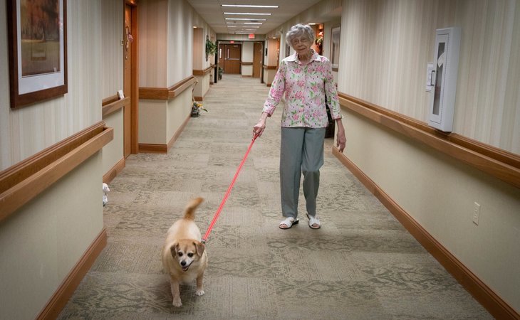 brownsburg-meadows-assisted-living-46112-1368218_10