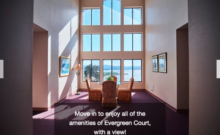 evergreen-court-97459-1369021_7