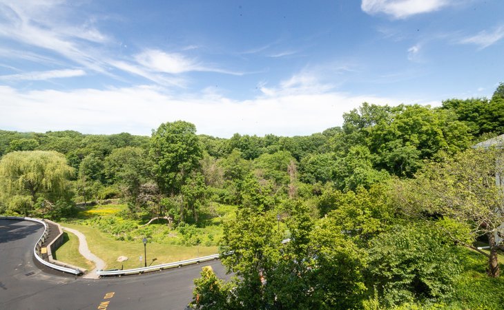 springhouse-senior-living-02130-1370133_2
