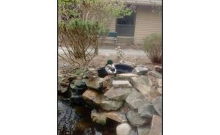 milton-nursing-and-rehabilitation-center-17847-1377630_2