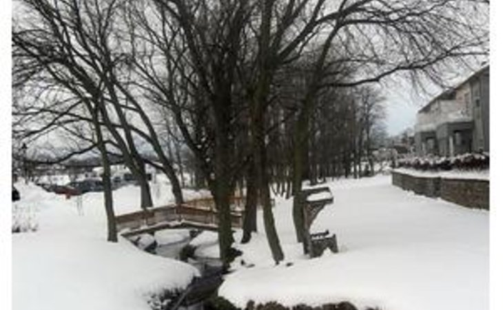 homewood-at-plum-creek-17331-14153_5