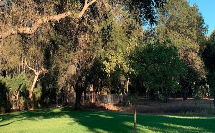 sonoma-grove-95476-1430056_3