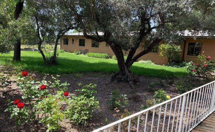sonoma-grove-95476-1430056_6